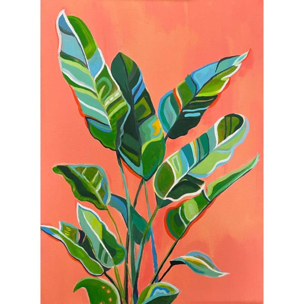 obraz pokojové květiny